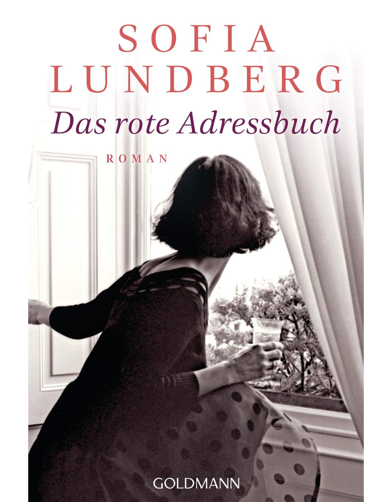 Das rote Adressbuch: Der Bestseller aus Schweden - Roman