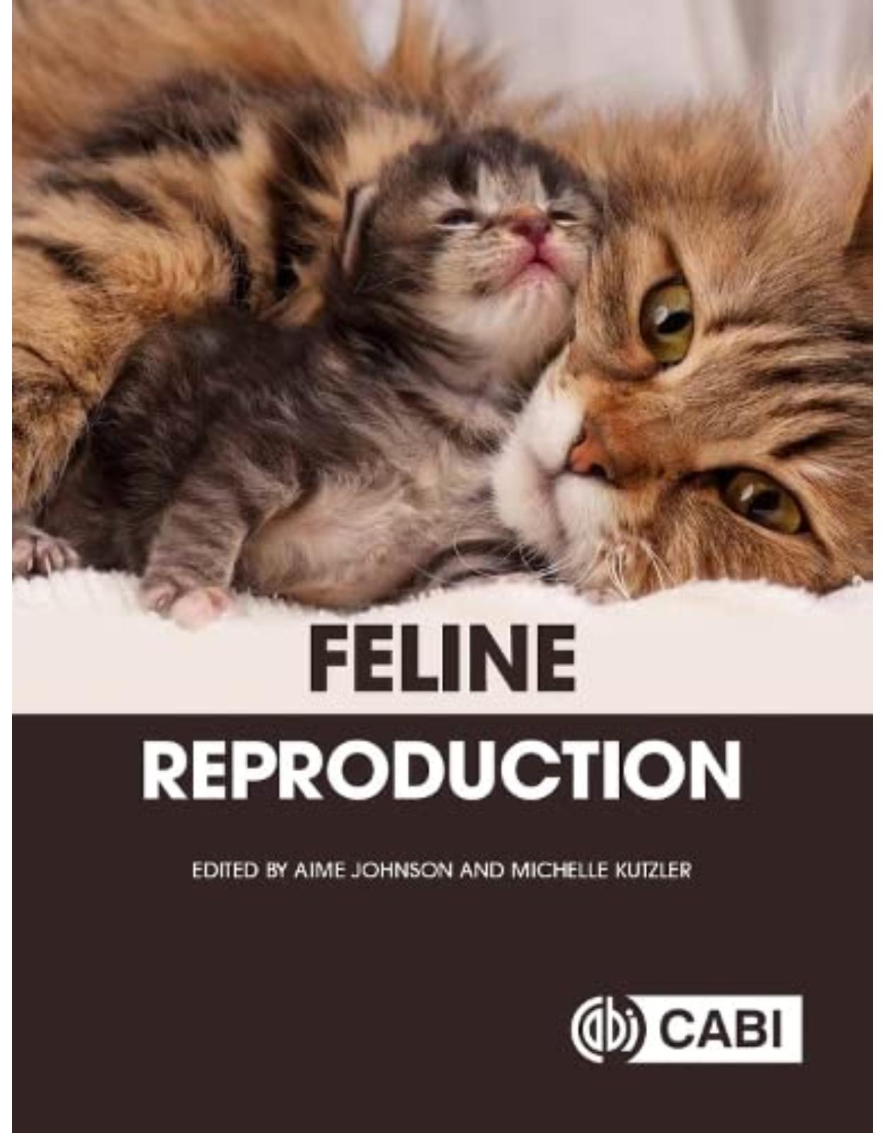 Feline Reproduction