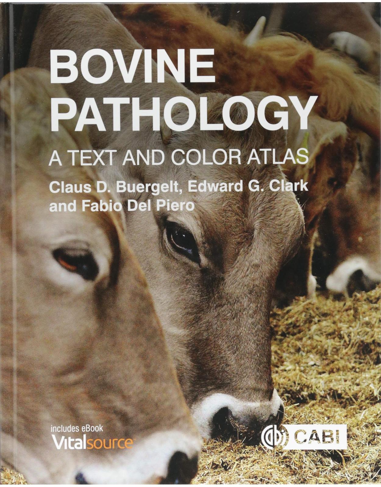 Bovine Pathology: A Text and Color Atlas