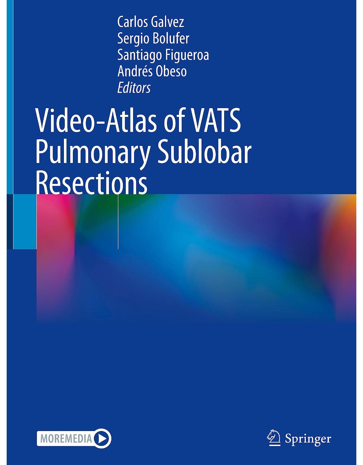 Video-Atlas of VATS Pulmonary Sublobar Resections