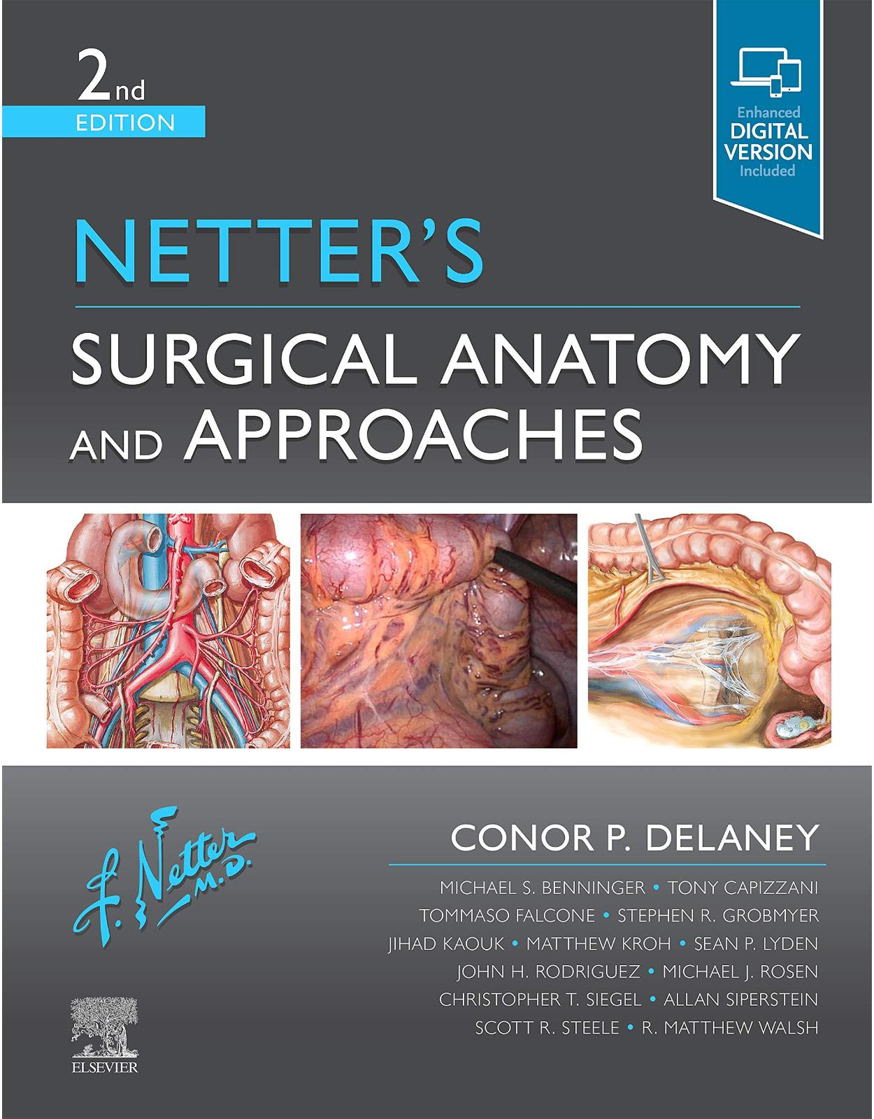 Netter’s Surgical Anatomy and Approaches (Netter Clinical Science)