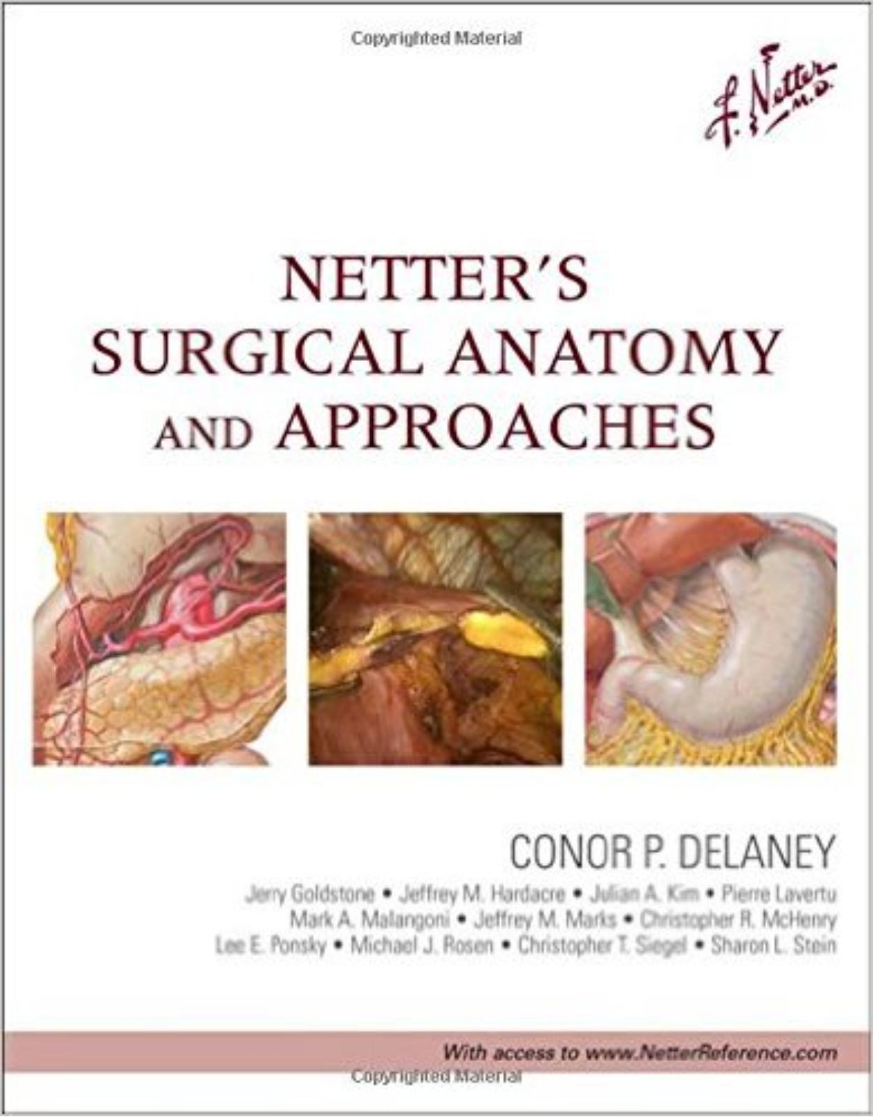 Netter s Surgical Anatomy and Approaches