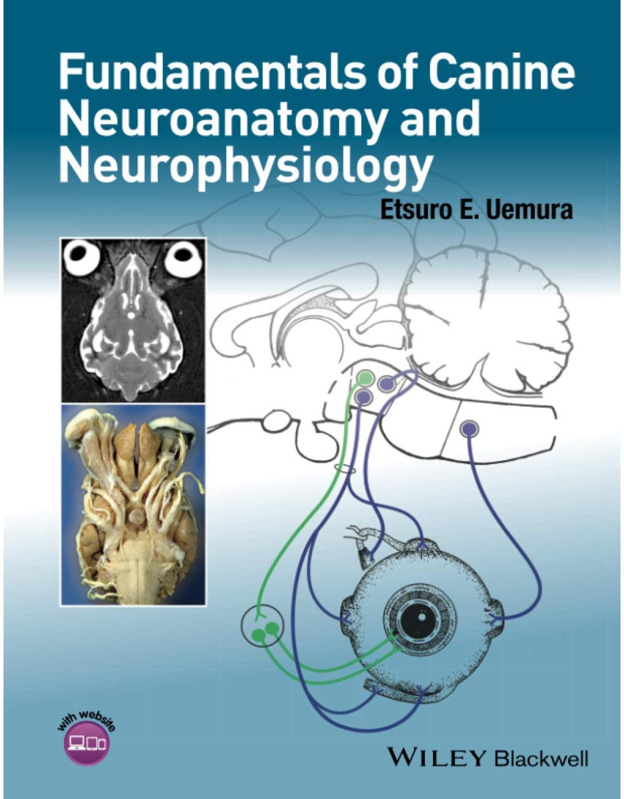 Fundamentals of Canine Neuroanatomy and Neurophysiology