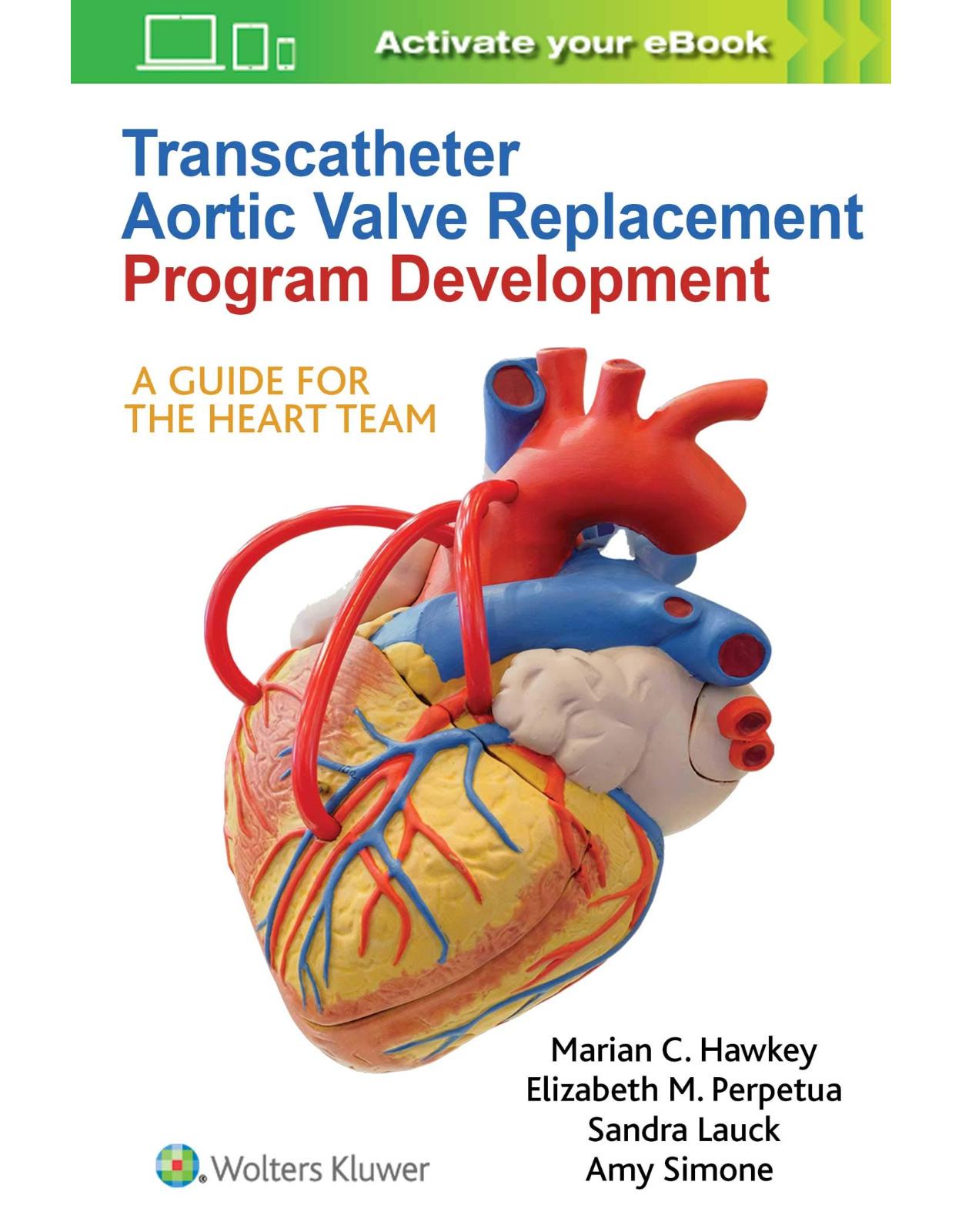 Transcatheter Aortic Valve Replacement Program Development: A Guide for the Heart Team