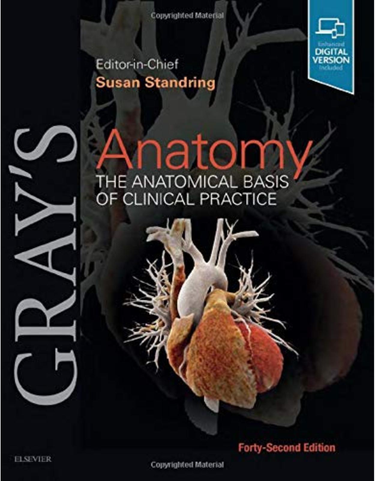 Grays Anatomy: The Anatomical Basis of Clinical Practice