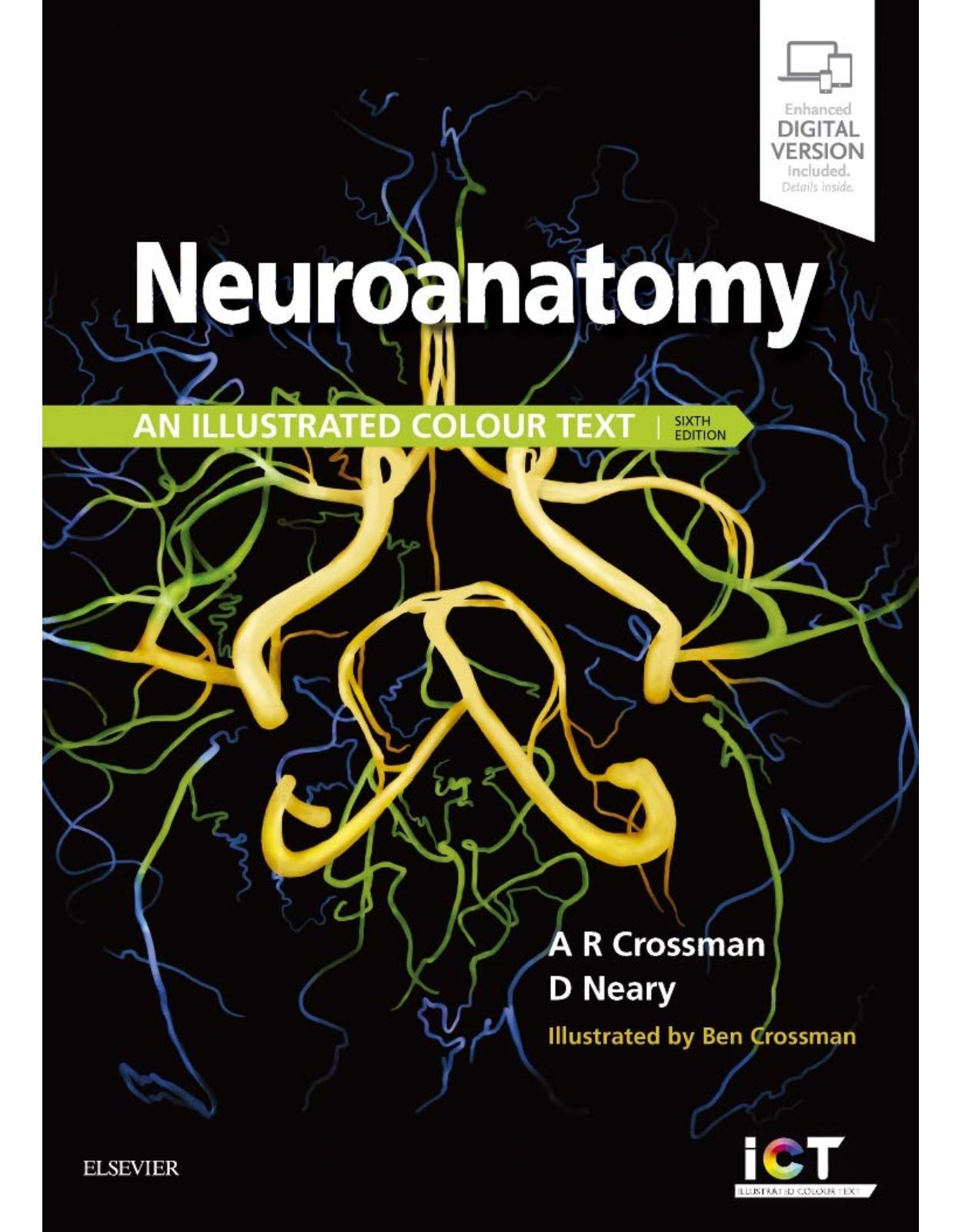 Neuroanatomy: an Illustrated Colour Text, 6e