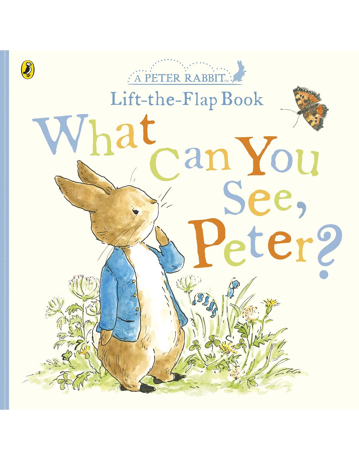 What Can You See Peter?: Very Big Lift the Flap Book