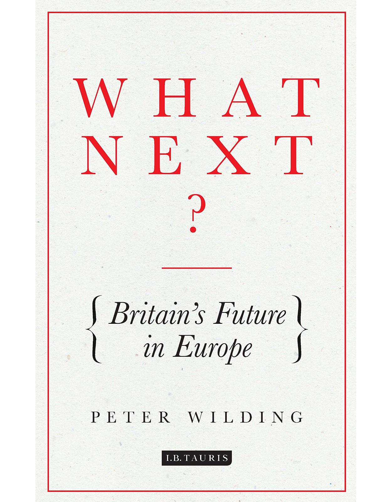 What Next?: Britain's Future in Europe