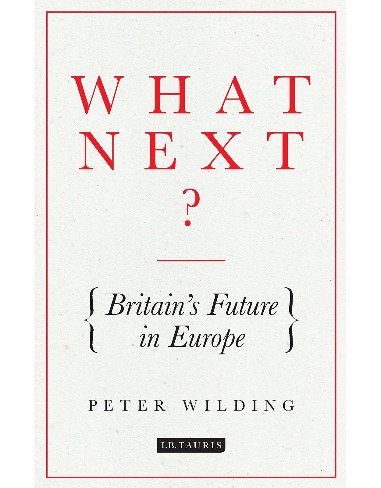 What Next?: Britain's Future in Europe