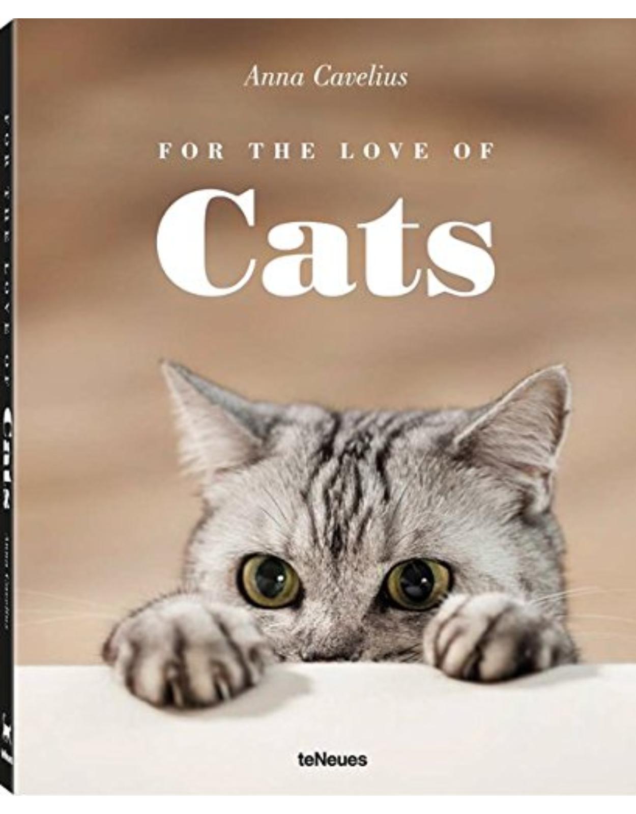For the Love of Cats 
