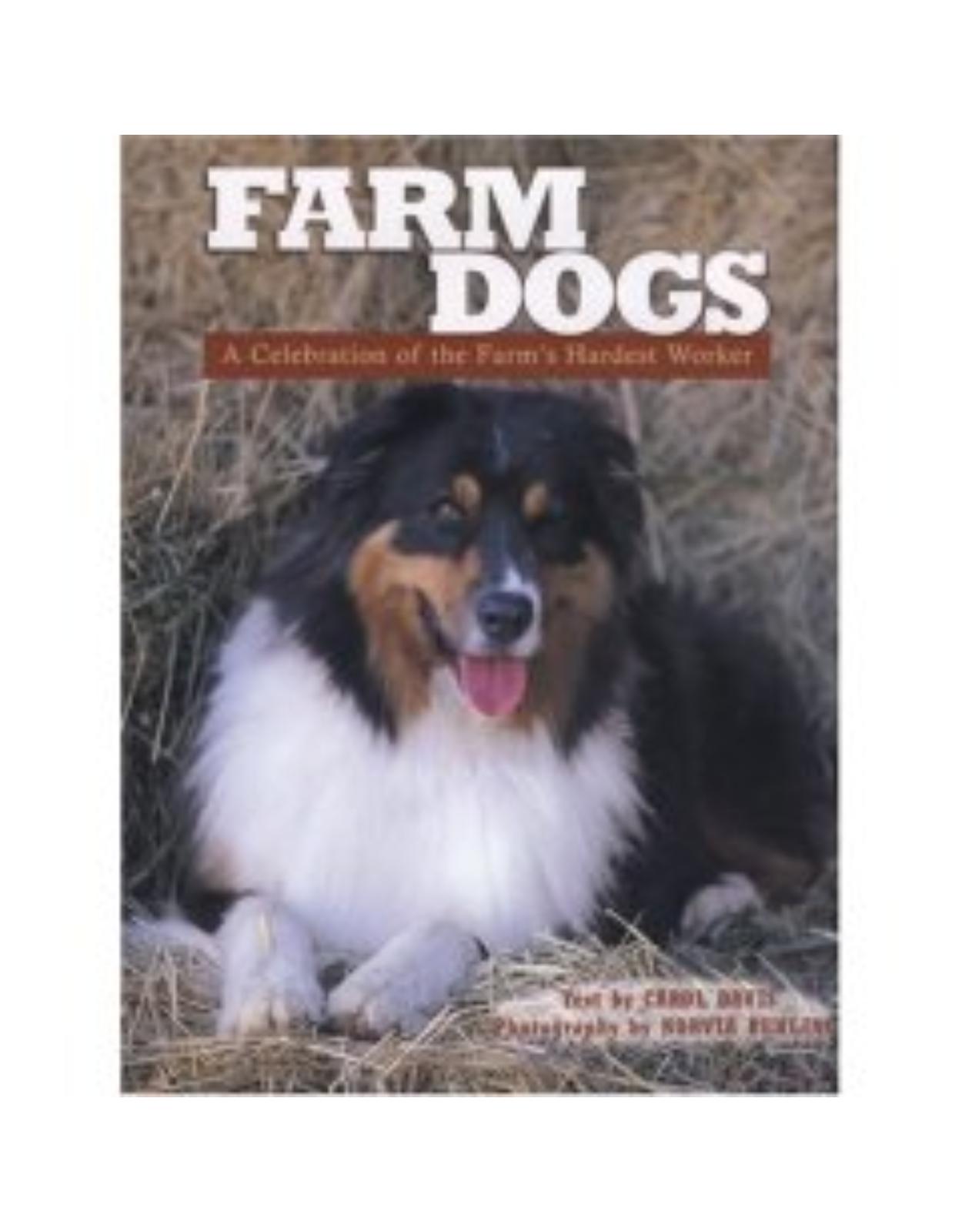 Farm Dogs