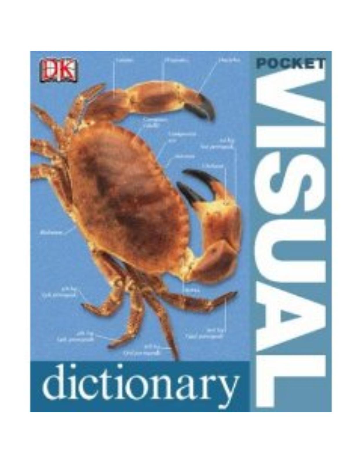 Pocket Visual Dictionary