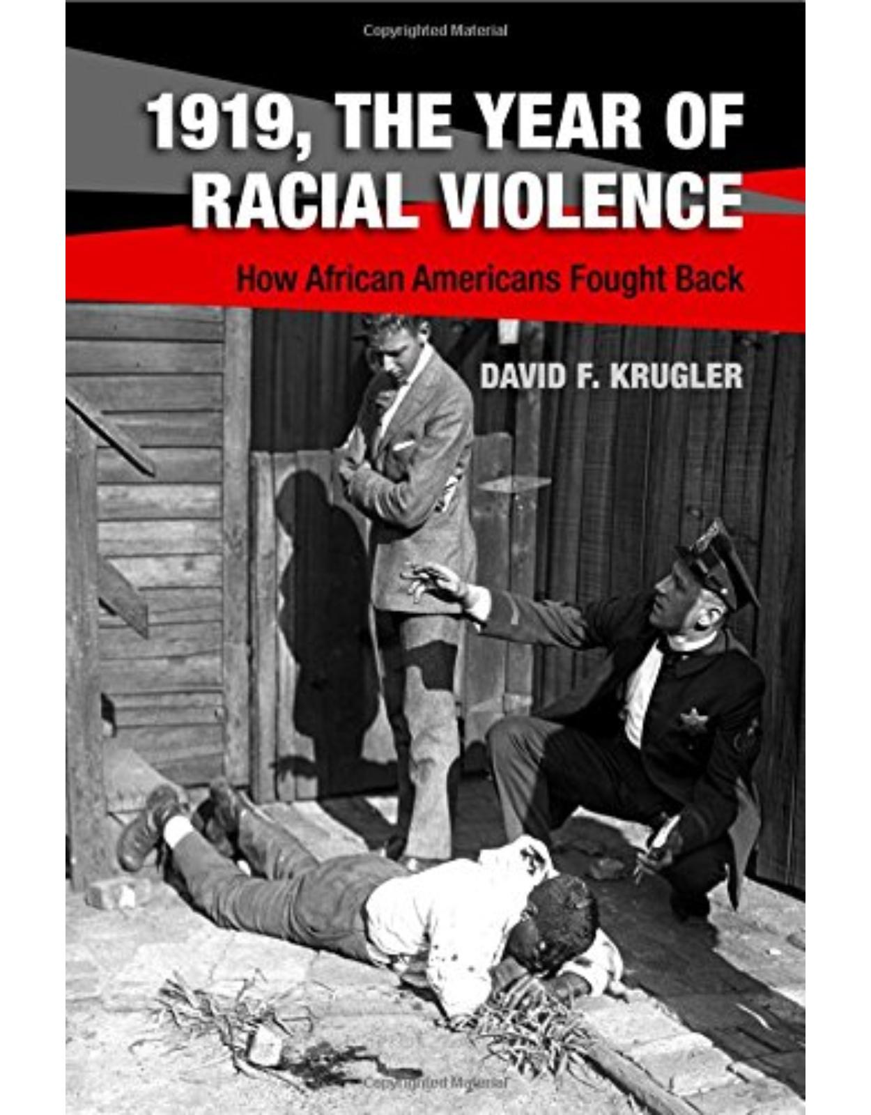 1919, The Year of Racial Violence: How African Americans Fought Back