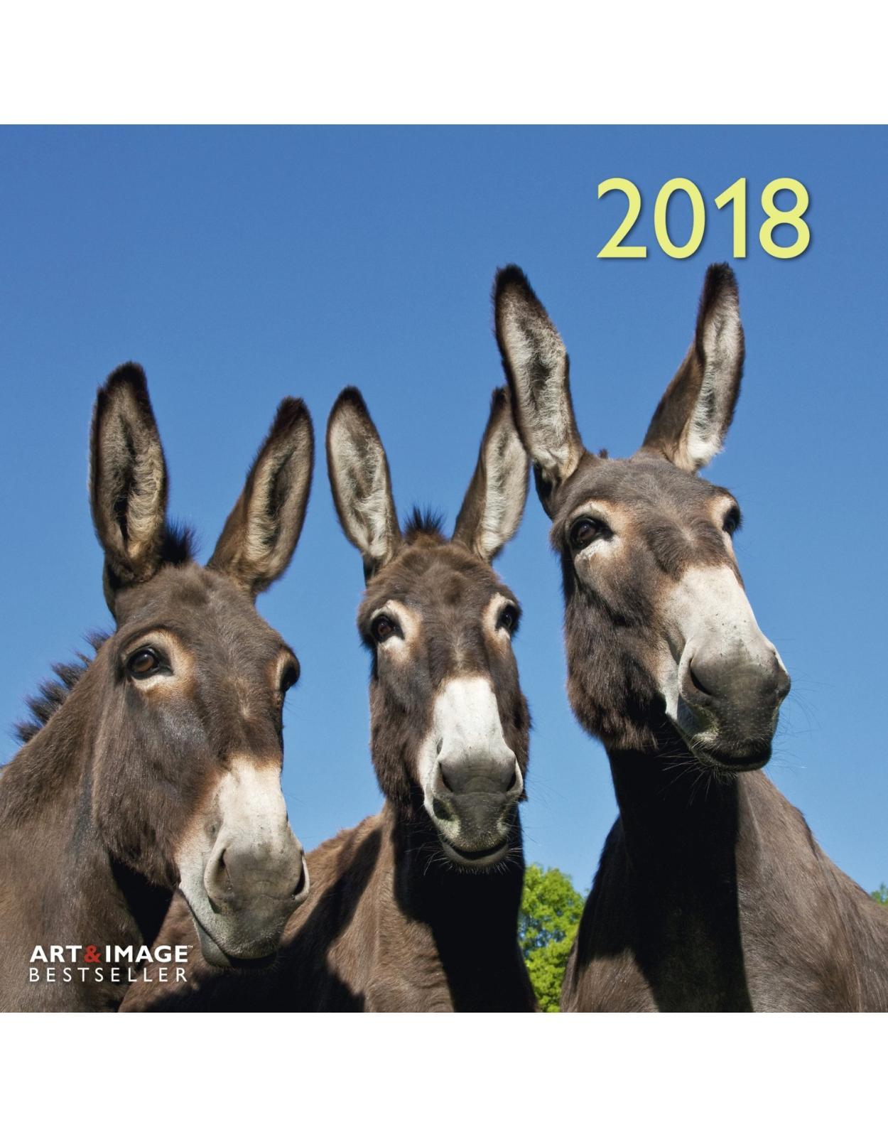 Calendar Donkeys 2018