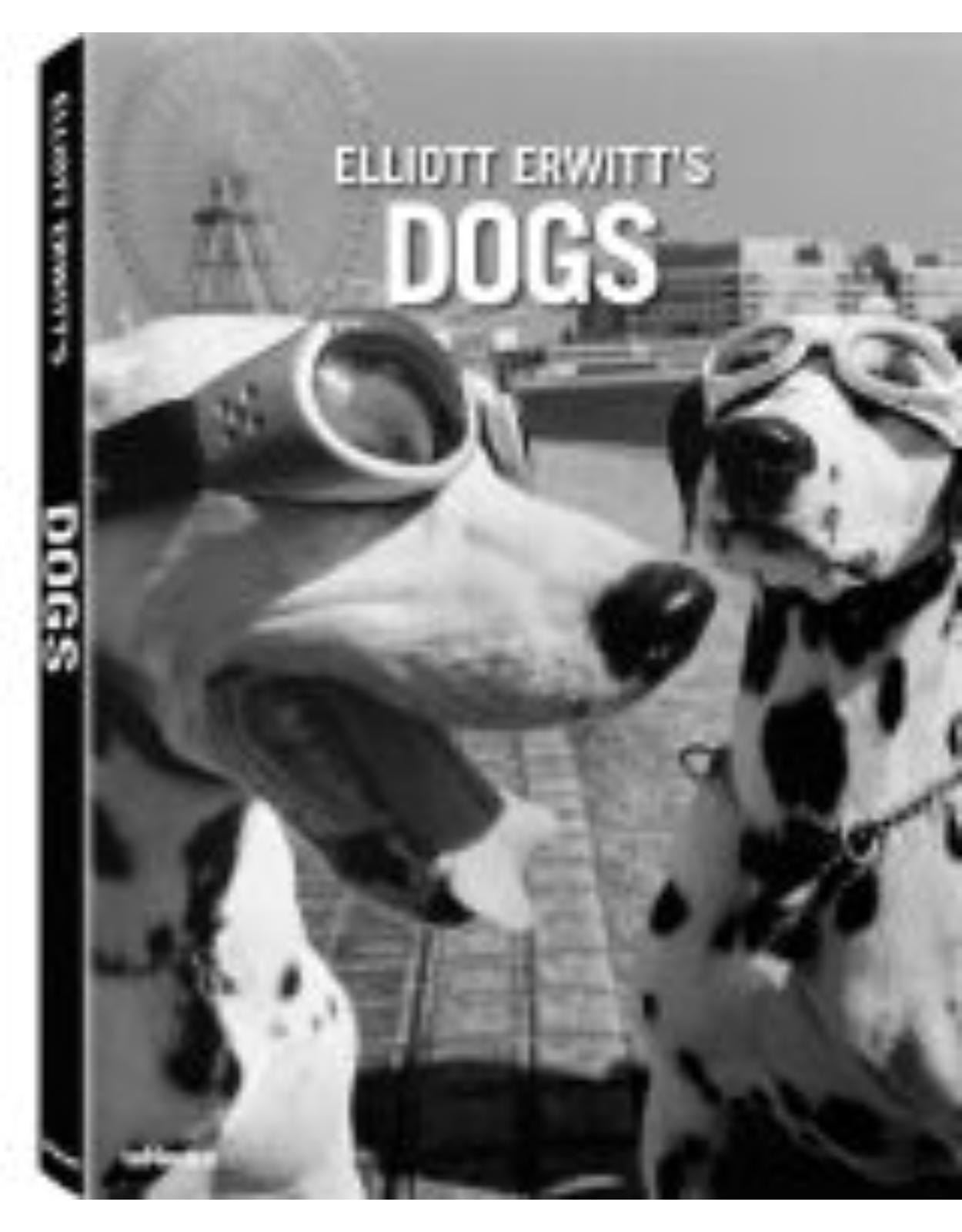 Elliott Erwits Dogs