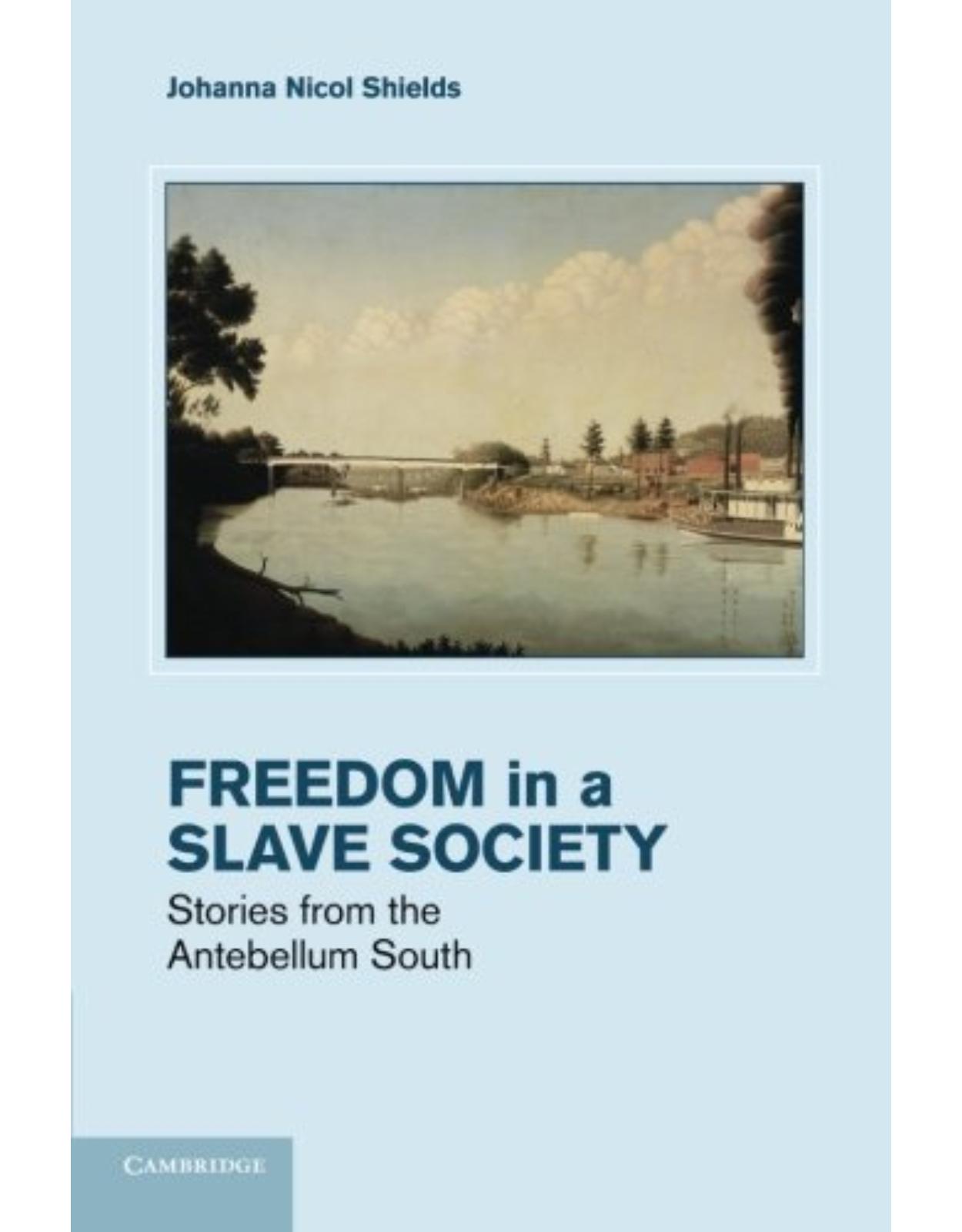 Freedom in a Slave Society: Stories from the Antebellum South (Cambridge Studies on the American South)