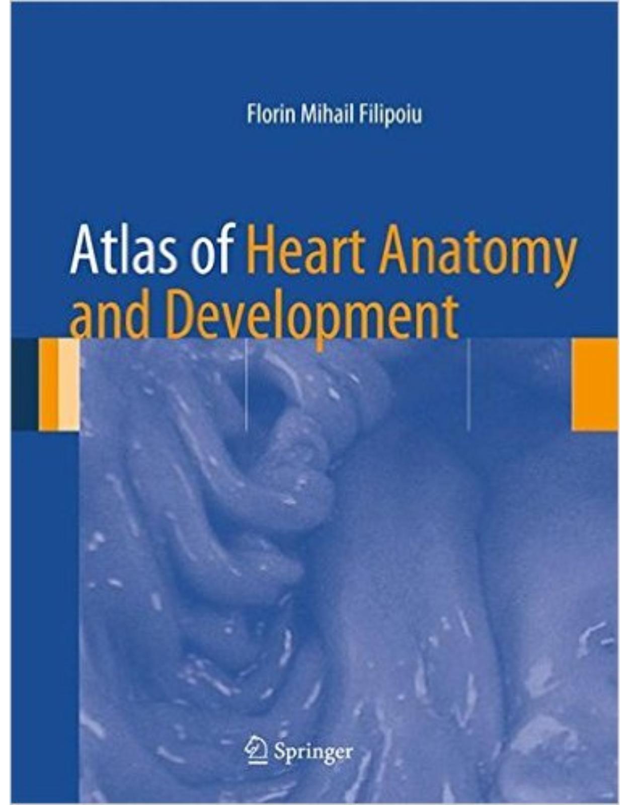 Atlas of Heart Anatomy and Development