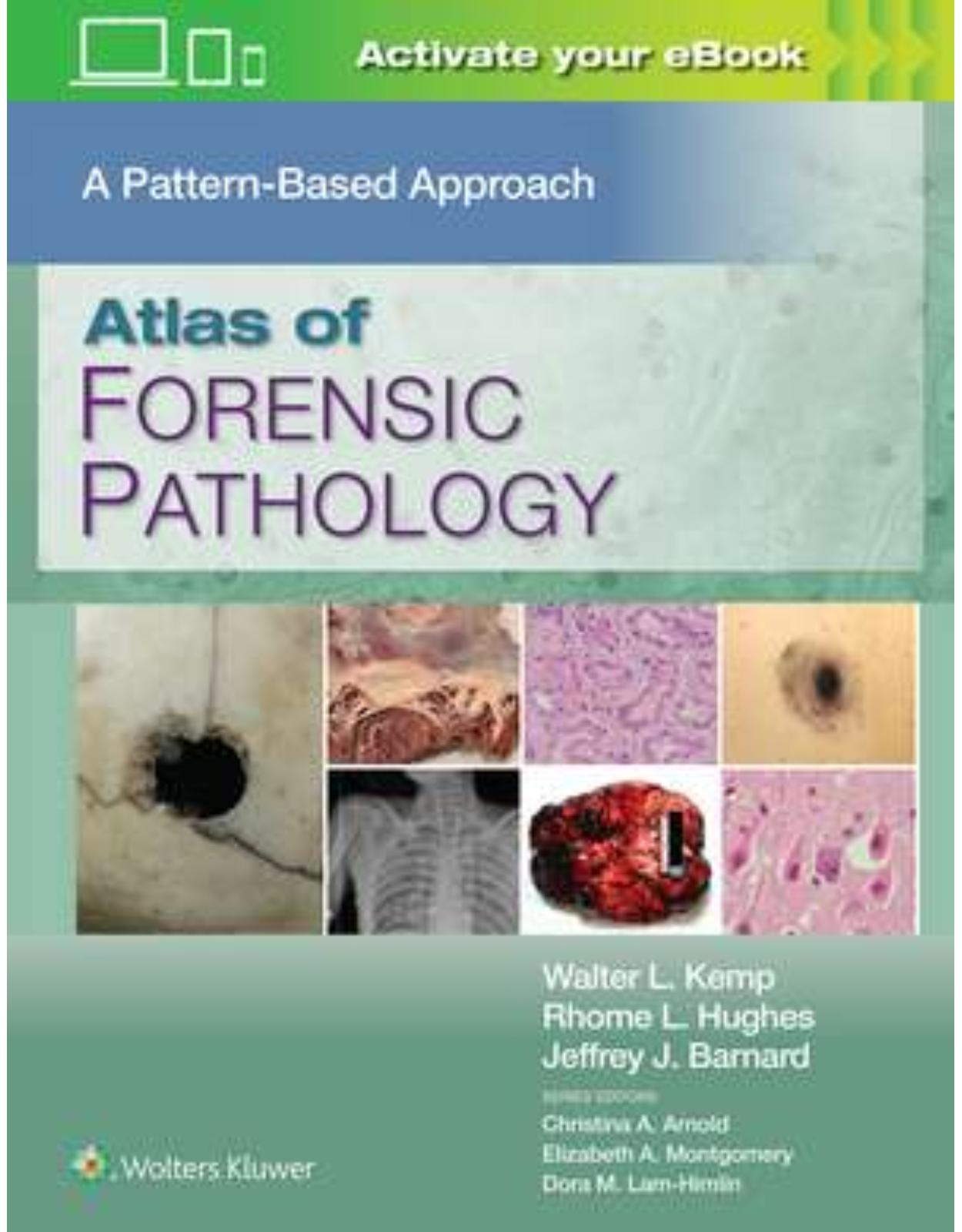 Atlas of Forensic Pathology: A Pattern Based Approach