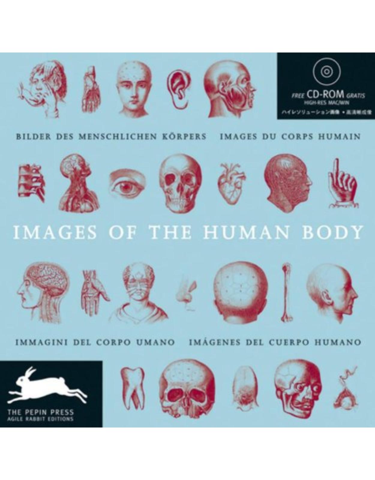 Images of the Human Body