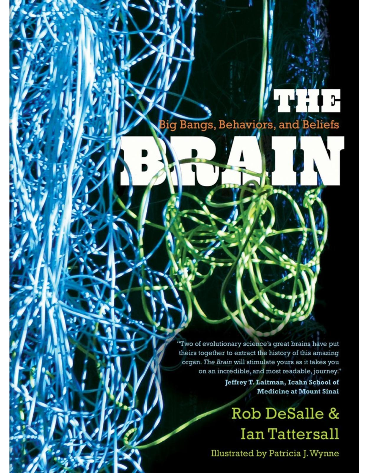 Brain . Big Bangs, Behaviors, and Beliefs