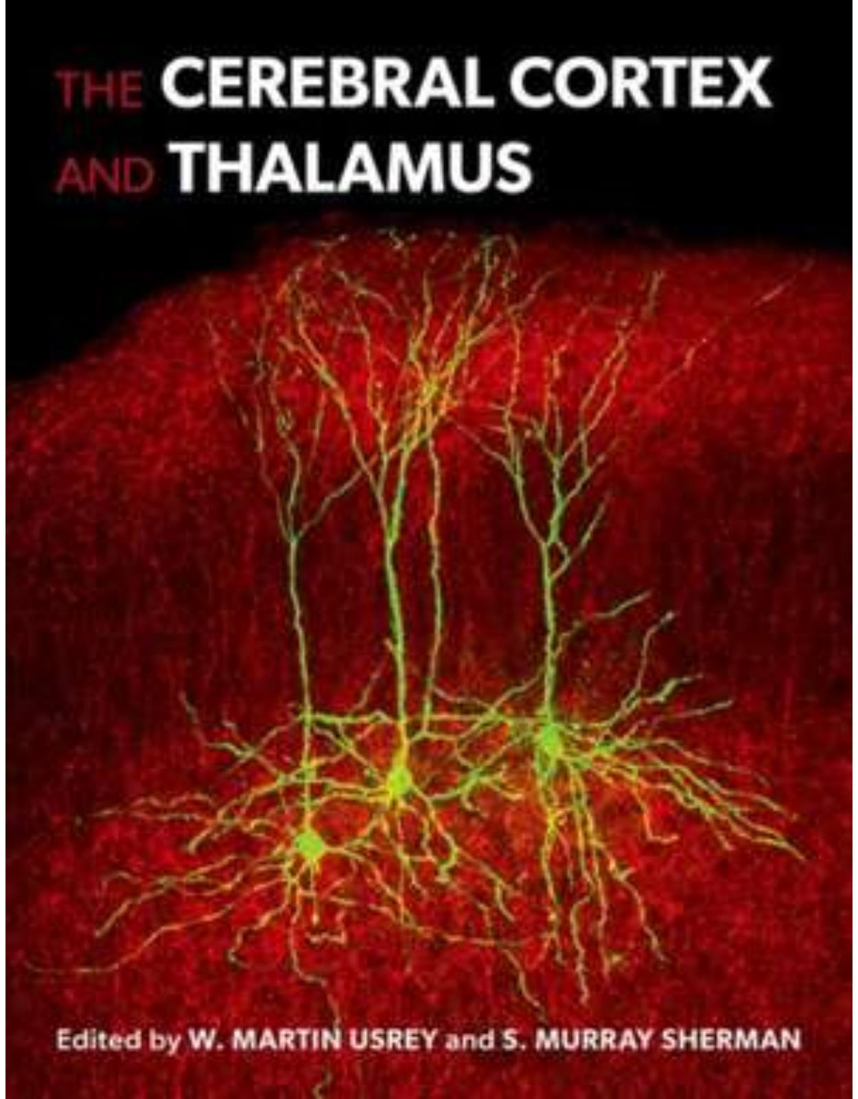 The Cerebral Cortex and Thalamus