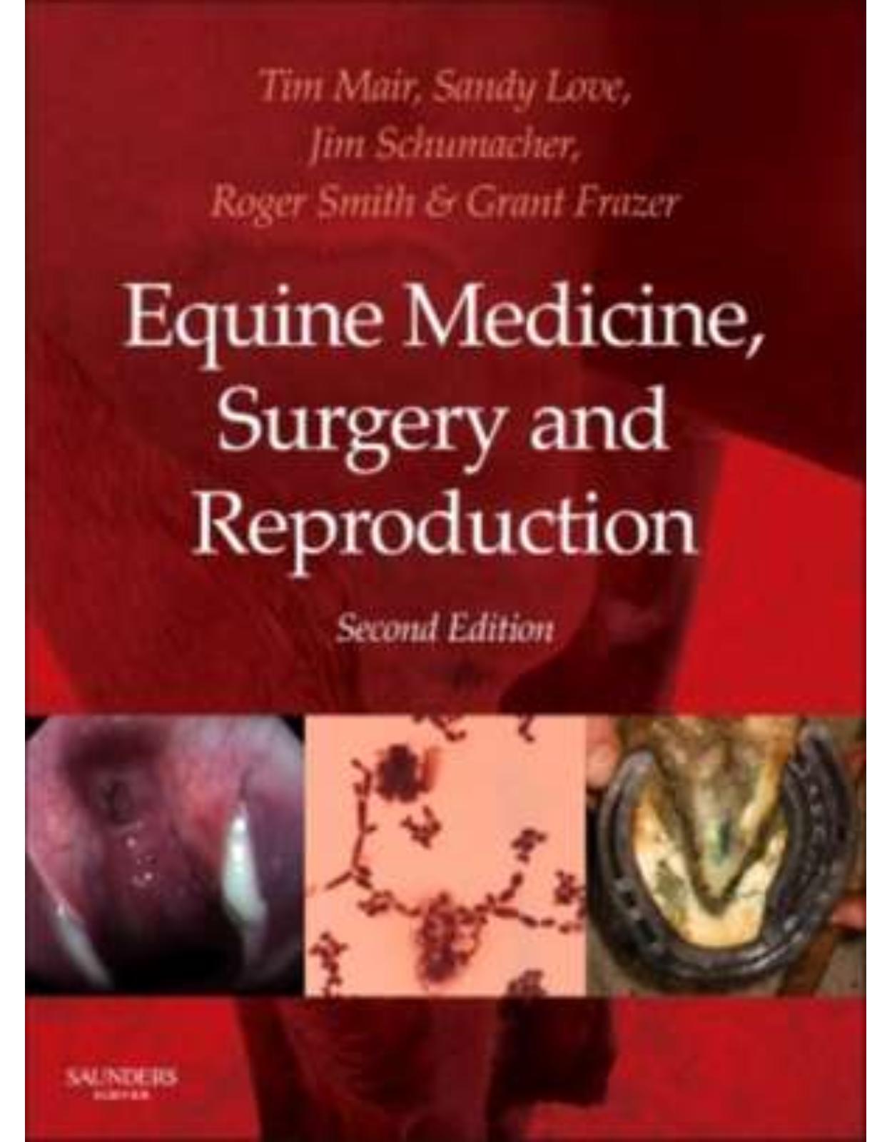 Equine Medicine, Surgery and Reproduction