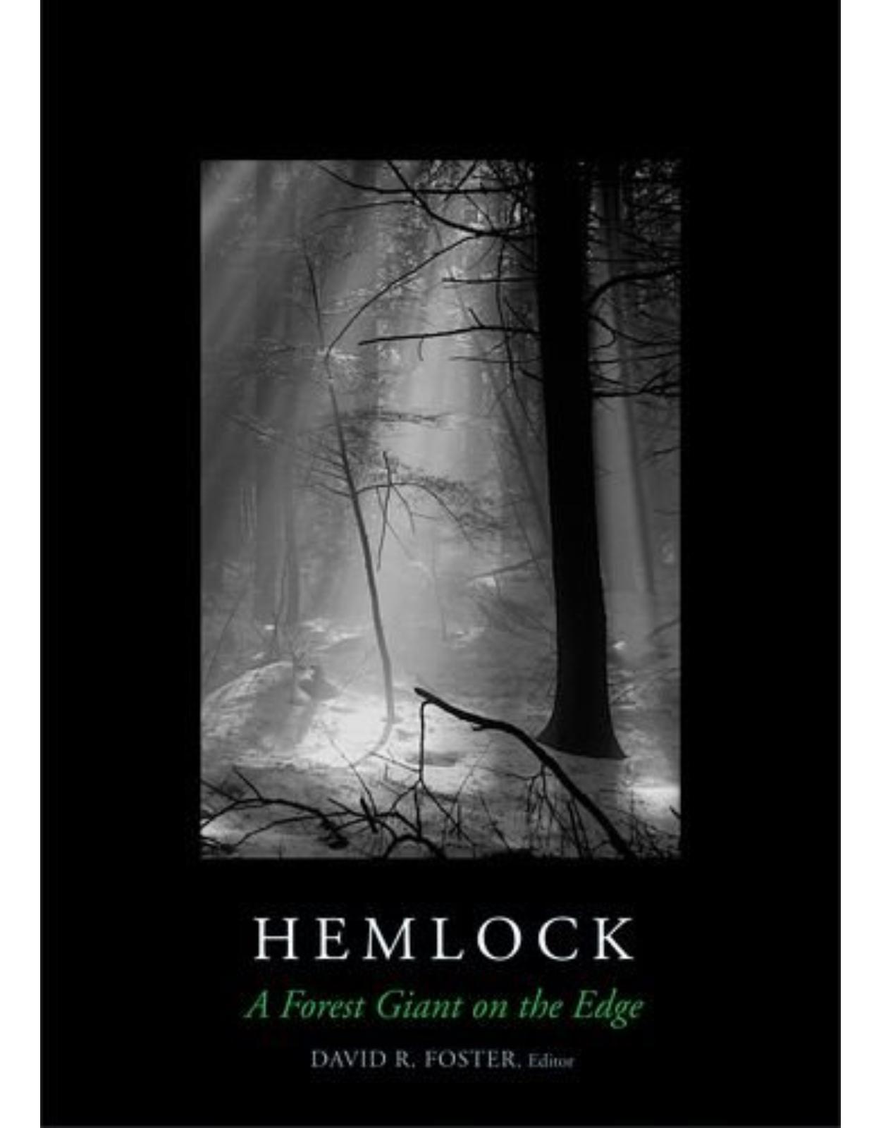 Hemlock. A Forest Giant on the Edge