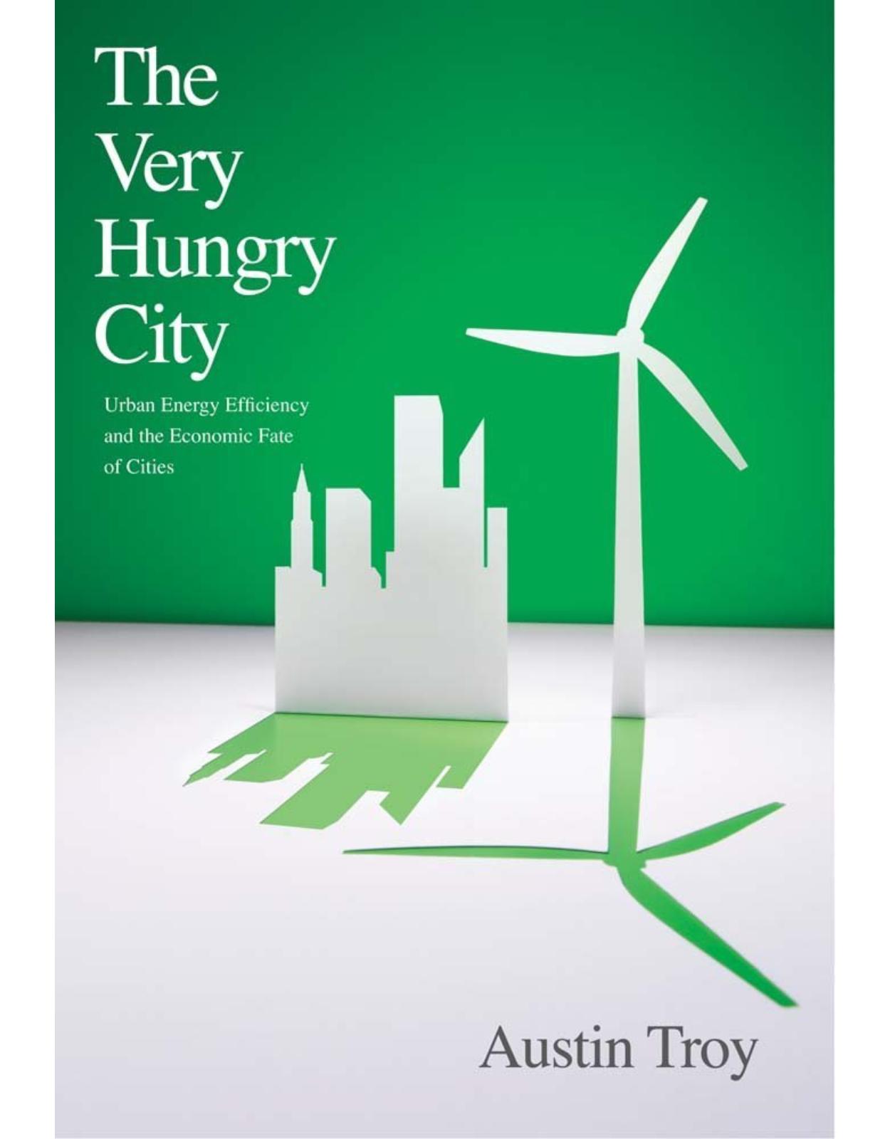 Very Hungry City. Urban Energy Efficiency and the Economic Fate of Cities