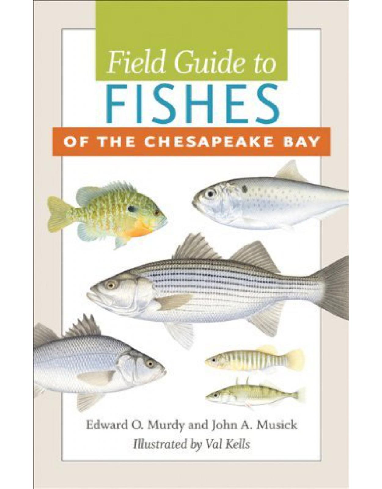 Field Guide to Fishes of the Chesapeake Bay.