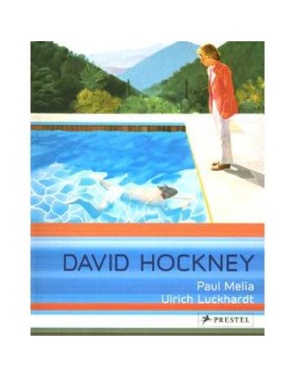 P-Art Flexo  David Hockney  Paintings