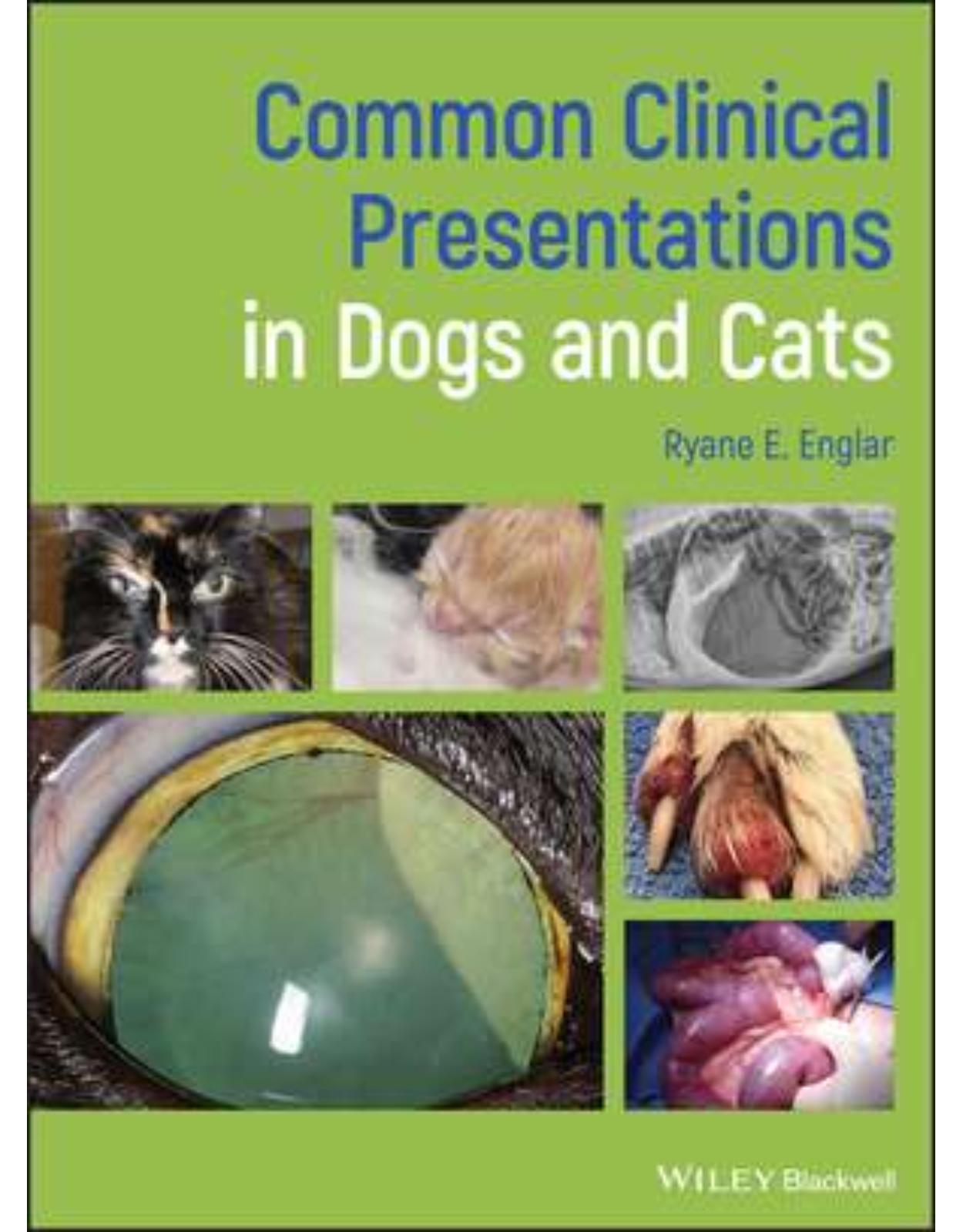 Common Clinical Presentations in Dogs and Cats