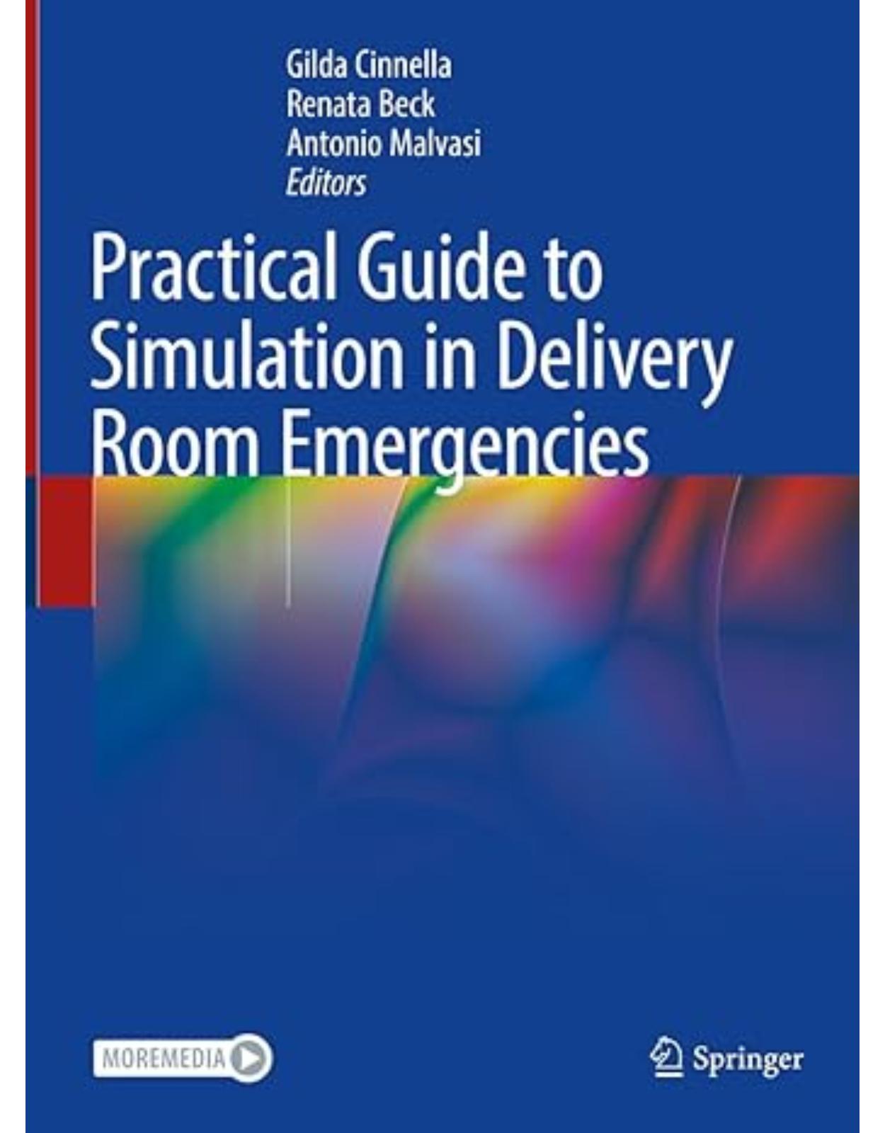 Practical Guide to Simulation in Delivery Room Emergencies 