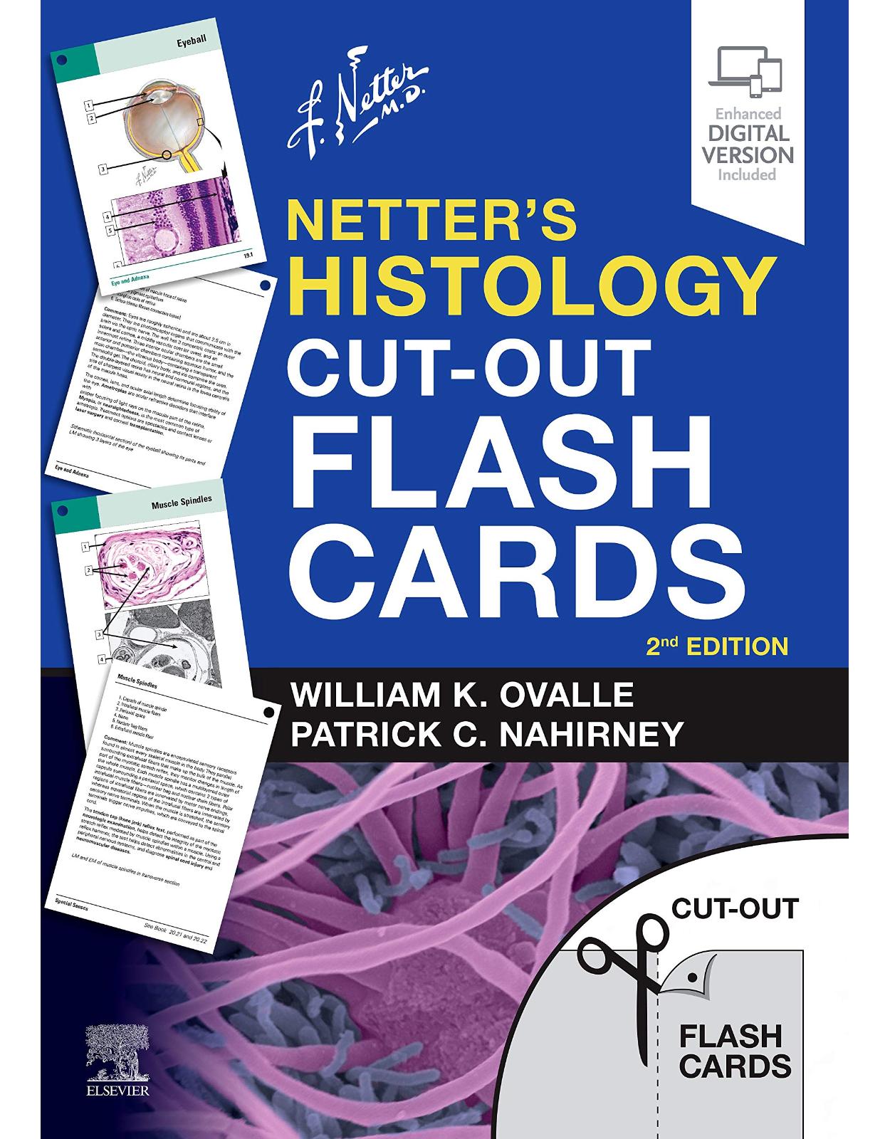 Netter’s Histology Cut-Out Flash Cards: A companion to Netter’s Essential Histology