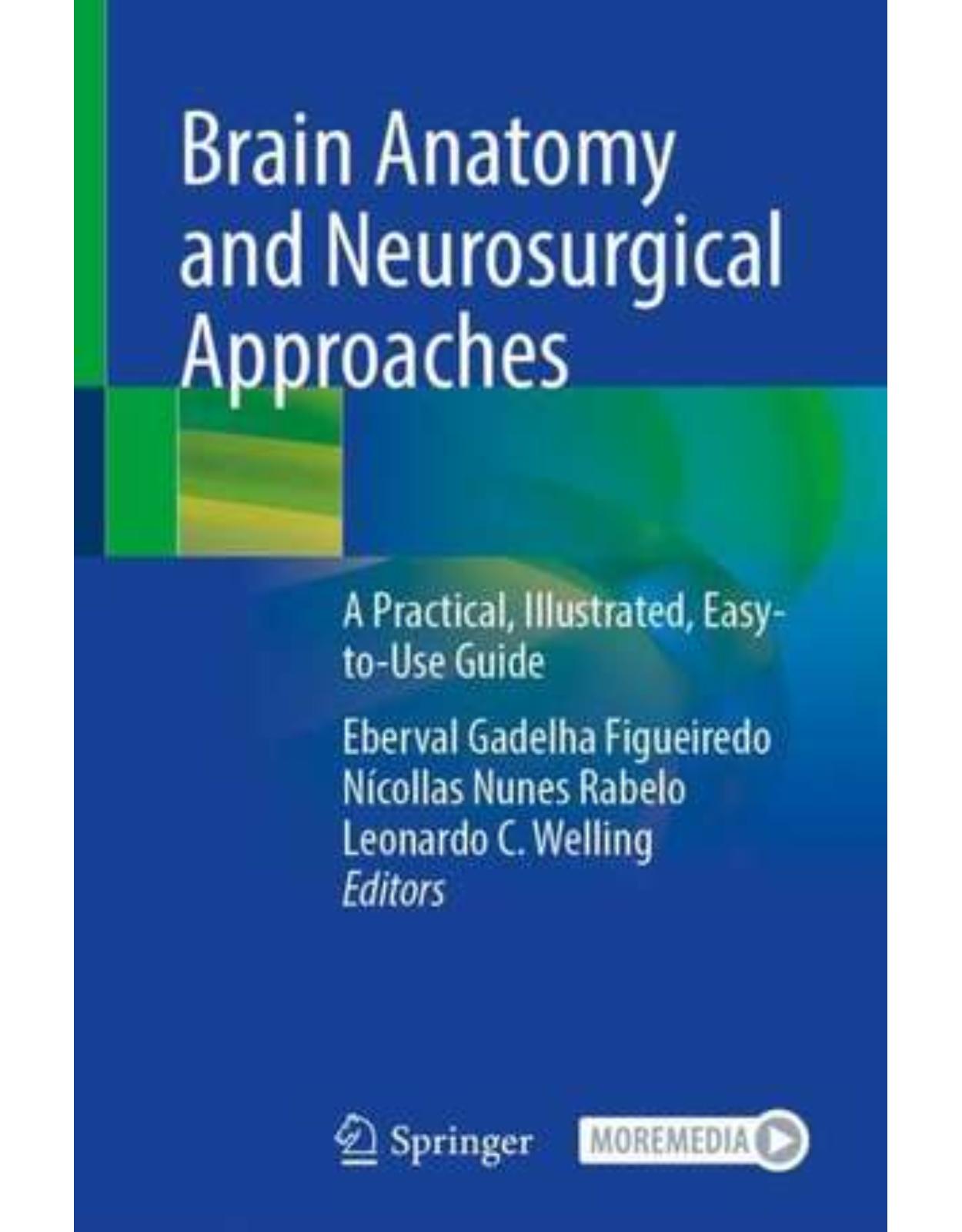 Brain Anatomy and Neurosurgical Approaches : A Practical, Illustrated, Easy-to-Use Guide