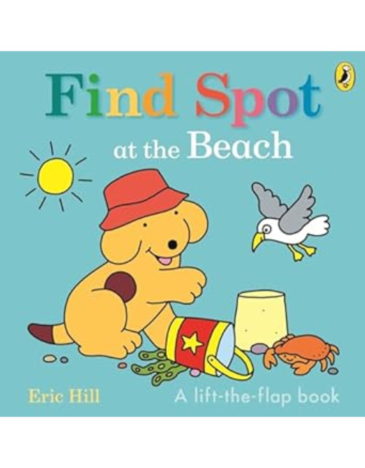 Find Spot at the Beach