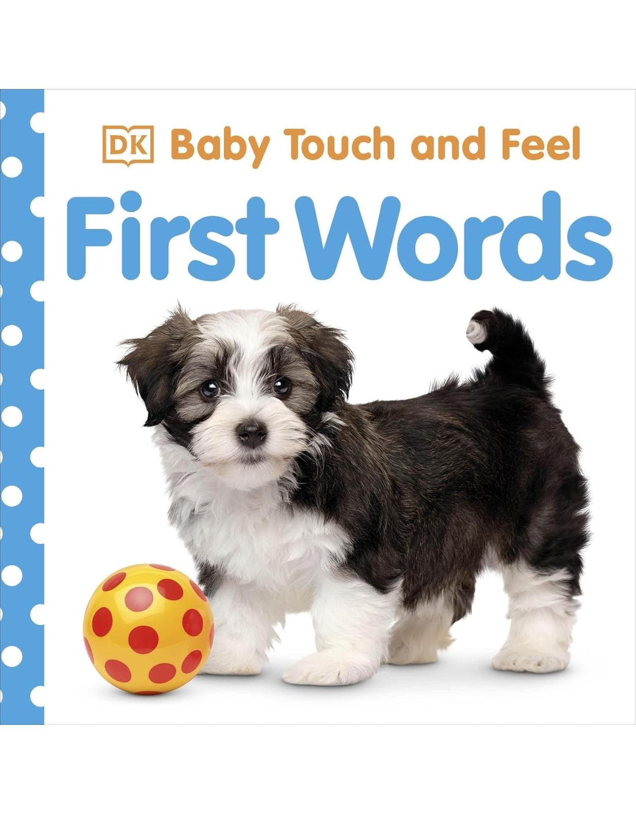 Baby Touch and Feel First Words