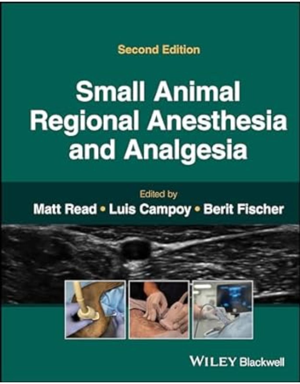 Small Animal Regional Anesthesia