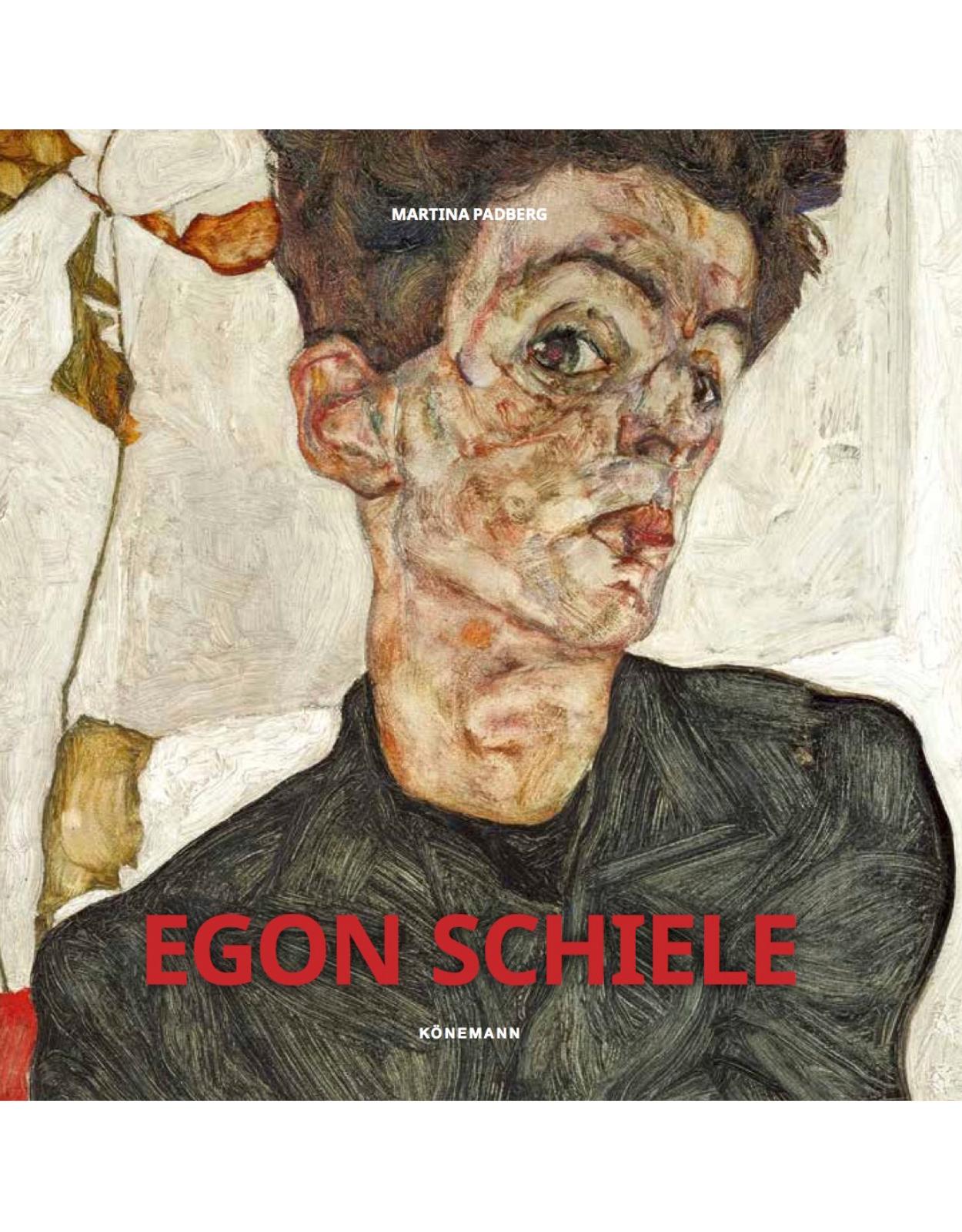 Album de arta Schiele