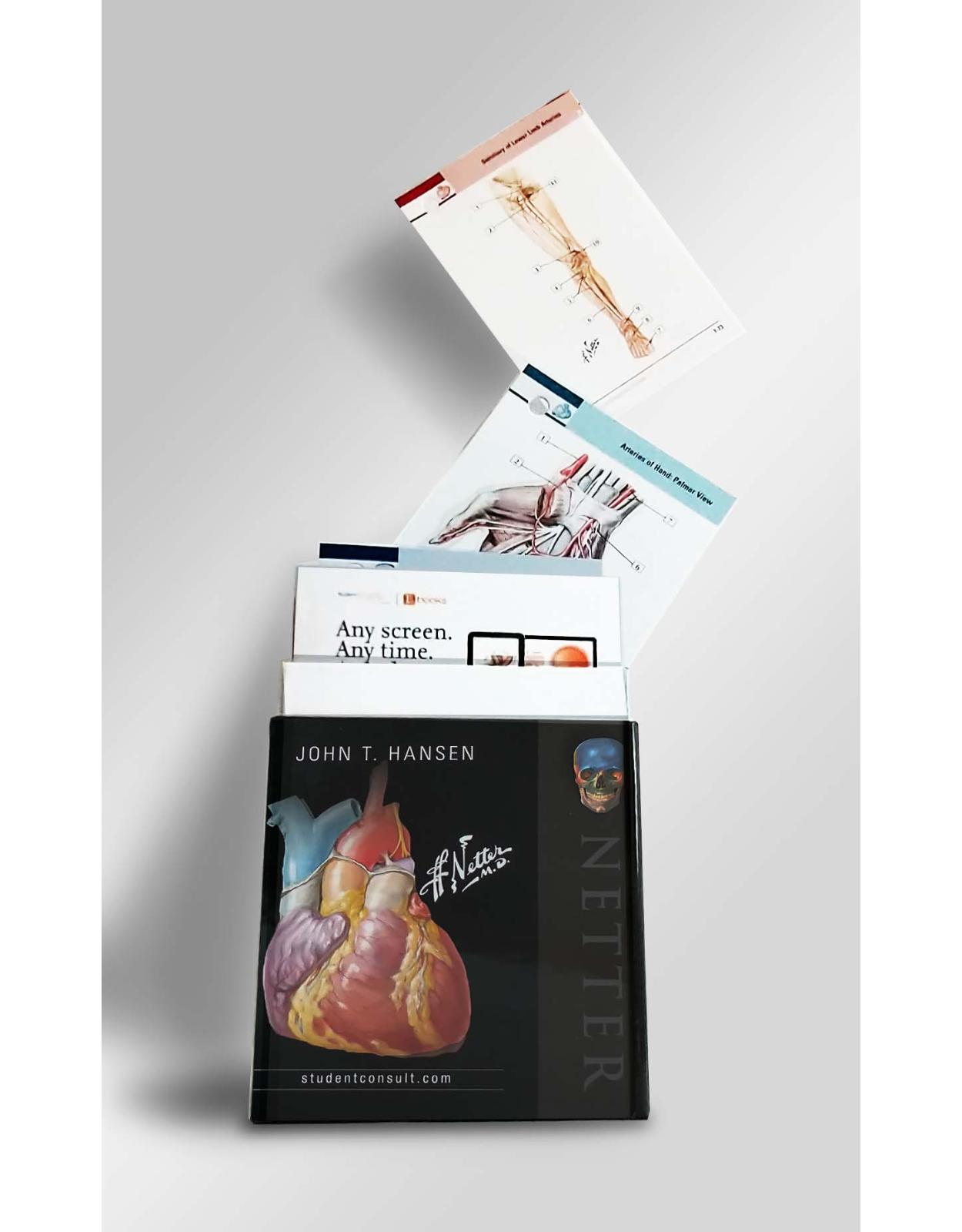 Netter s Anatomy Flash Cards, 5e (Netter Basic Science) 