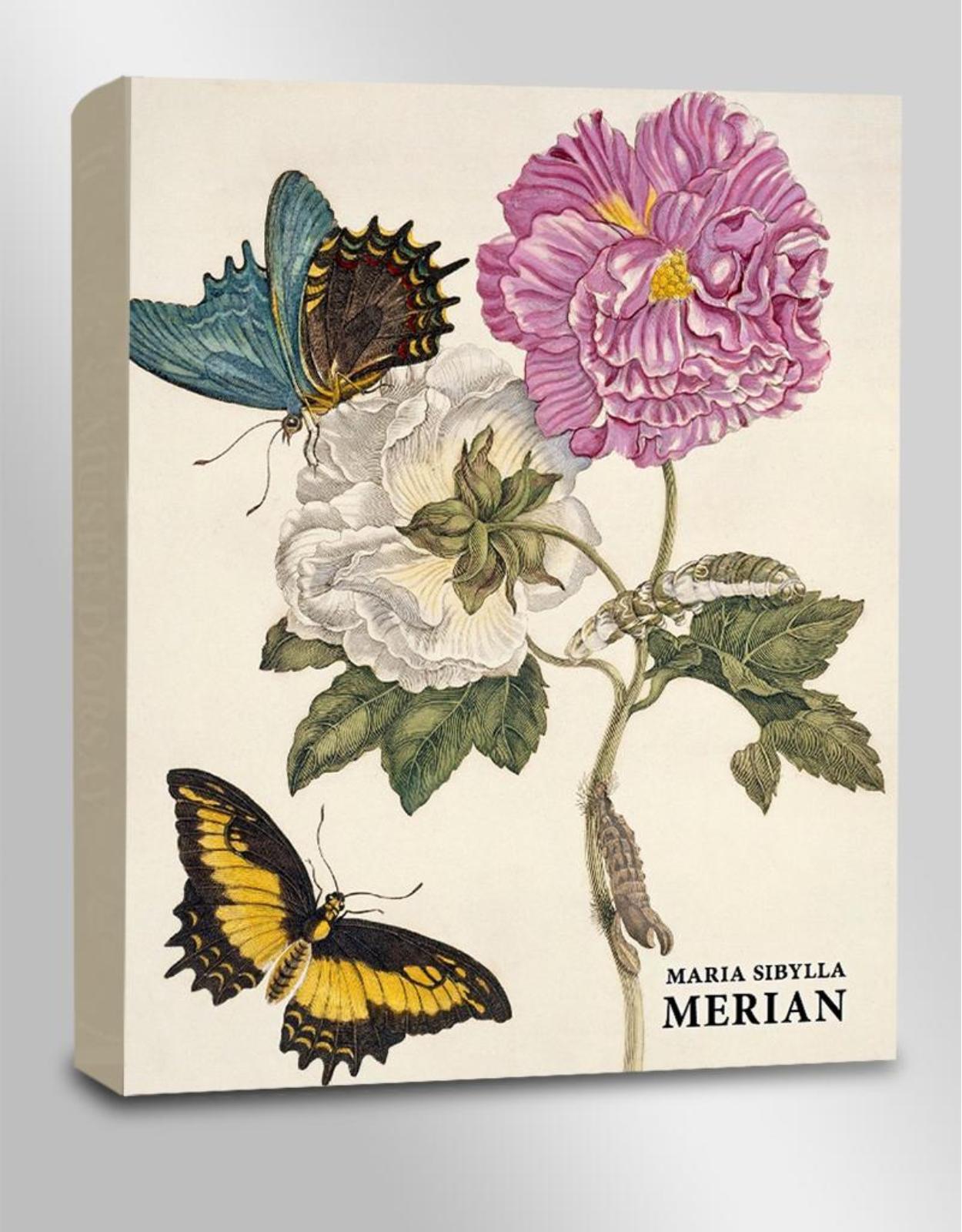 Pachet Maria Sibylla Merian + Dincolo de granițe  Artă, știință și curaj
