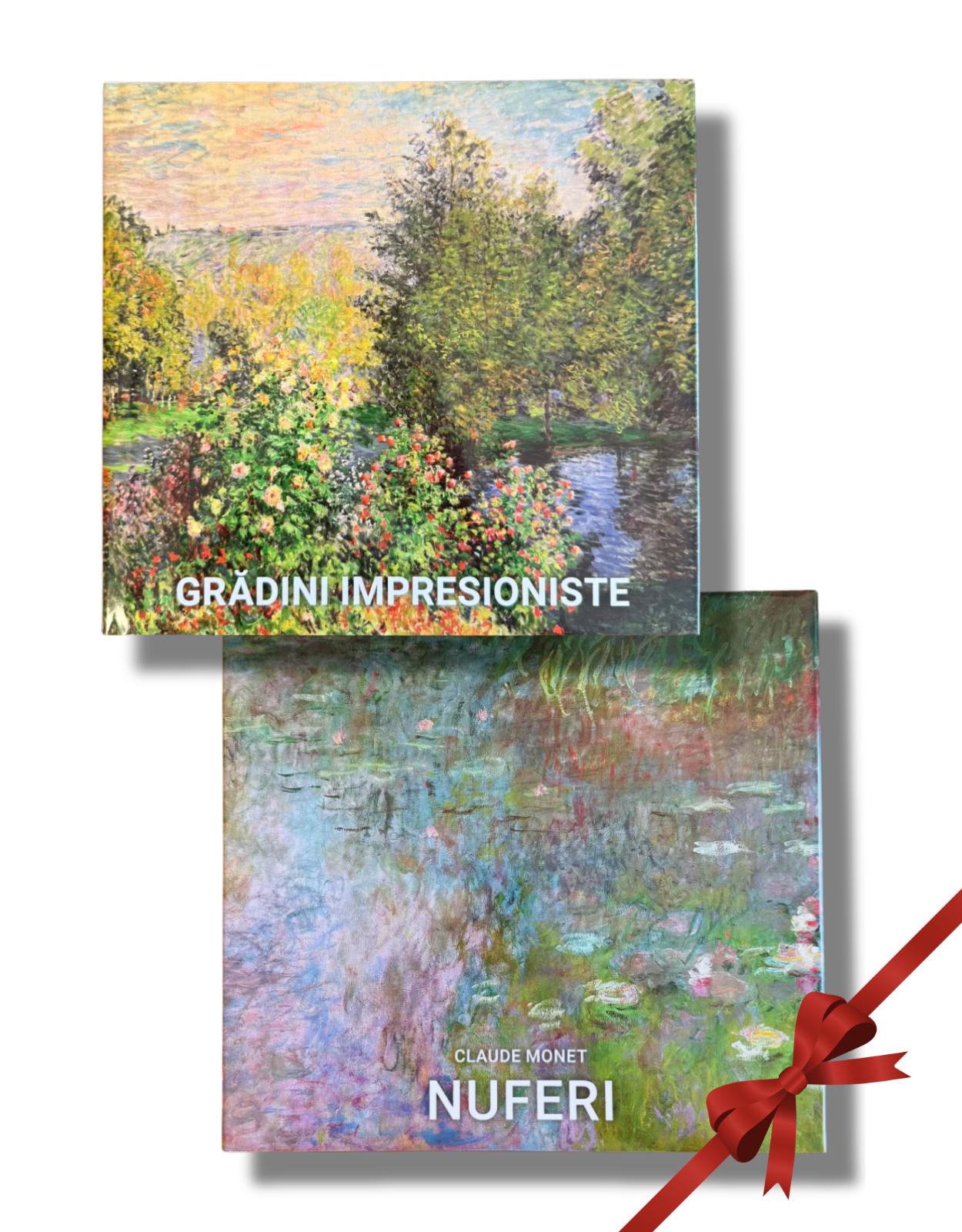 Pachet Arta �Pict�nd natura� (Două albume de artă)