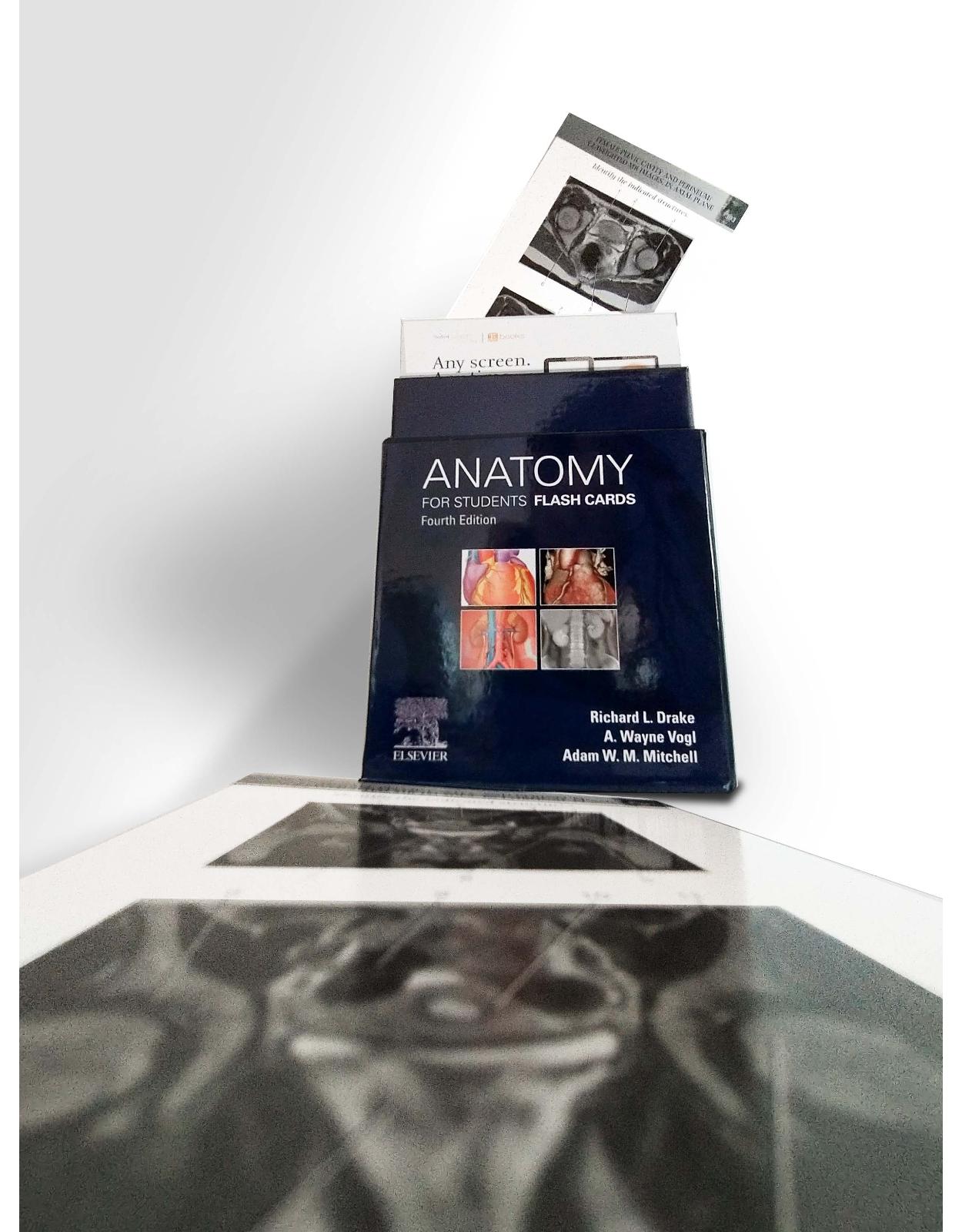 Gray’s Anatomy for Students Flash Cards 