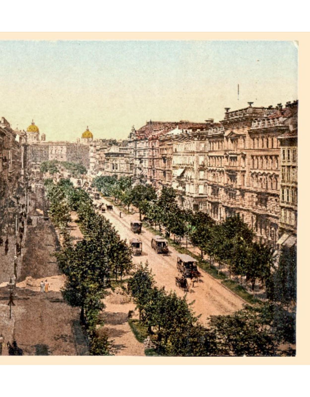 Album de arta- Viena in jurul anului 1900