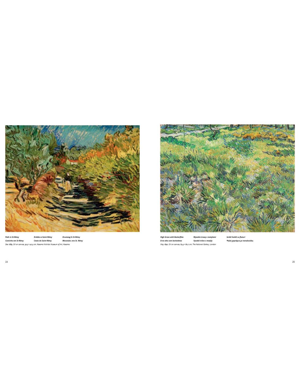 Album de arta Van Gogh