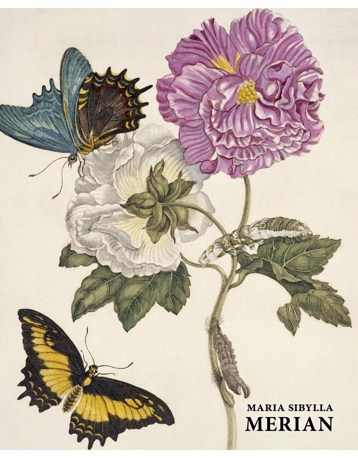 Maria Sibylla Merian